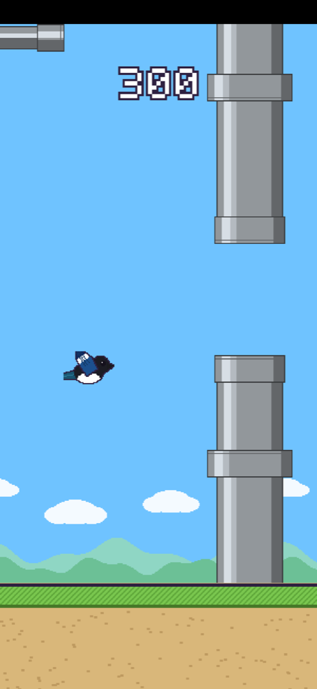 Squeeze the Gap gameplay with a magpie at score 300